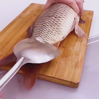 Quick & Easy Fish Scale Scraper Tool